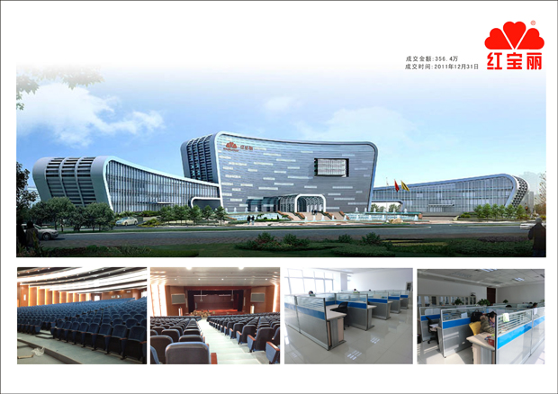 南京红宝丽公司 南京红宝丽公司