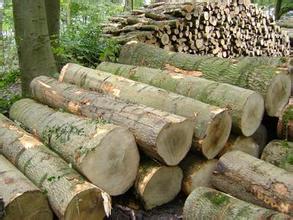 办公家具材料只白蜡木 办公家具材料只白蜡木