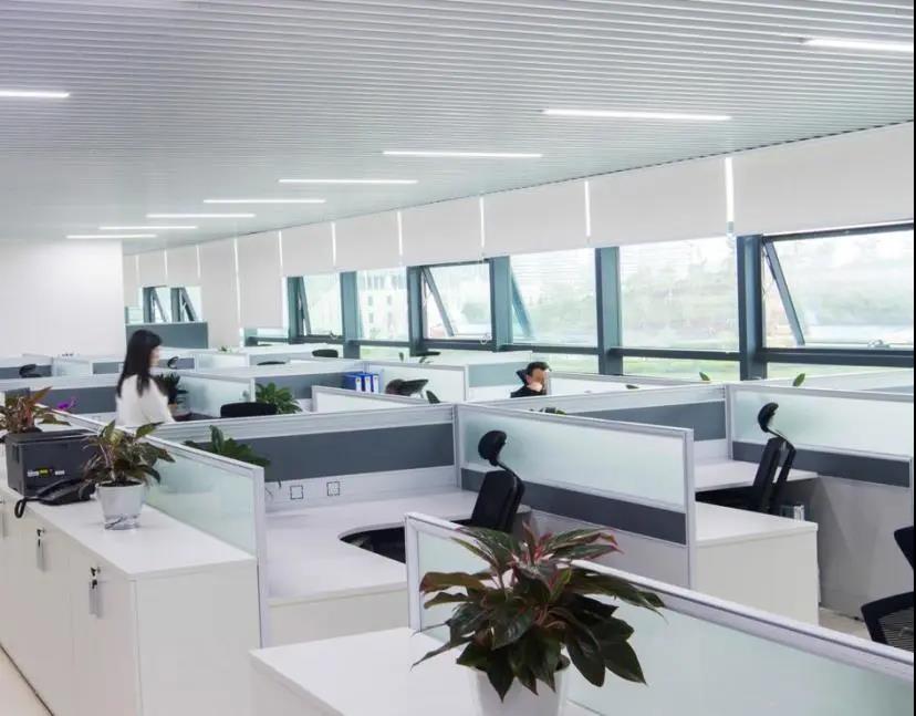 职员办公空间 职员办公空间
