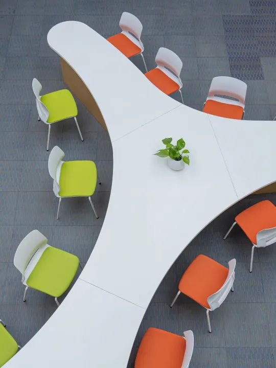 草莓视频污片图书馆家具 草莓视频污片图书馆家具